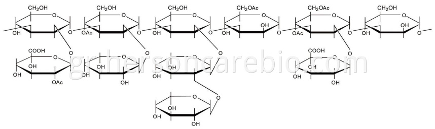 Tremella Fuciformis Polysaccharide